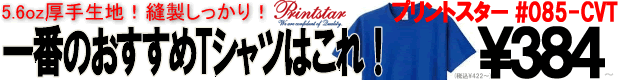当社一押し！5.6oz厚手で縫製しっかり！サ   イズカラー豊富で一番人気！半袖レギュラーTシャツ/Printstar